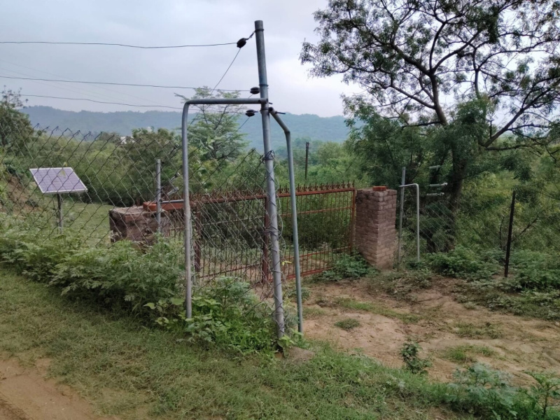  11 Acre Agricultural/Farm Land for Sale in Indora, Kangra