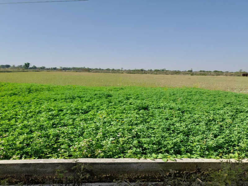  6 Acre Agricultural/Farm Land for Sale in Amb, Una