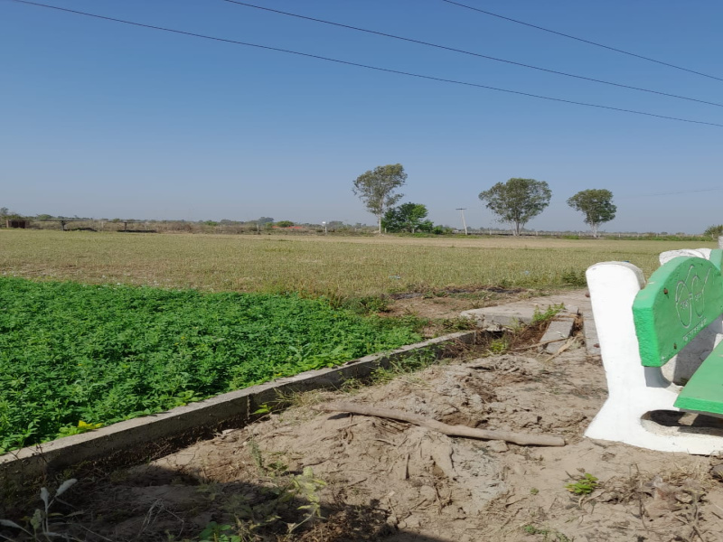  53 Acre Agricultural/Farm Land for Sale in Dunera, Pathankot
