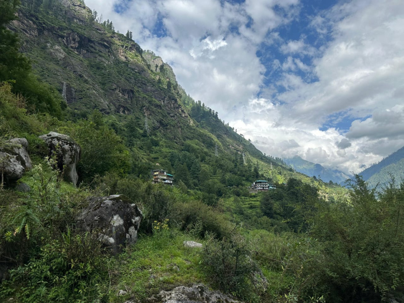  1 Bigha Residential Plot for Sale in Kasol, Kullu