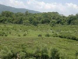  Commercial Land for Sale in Jogindarnagar, Mandi