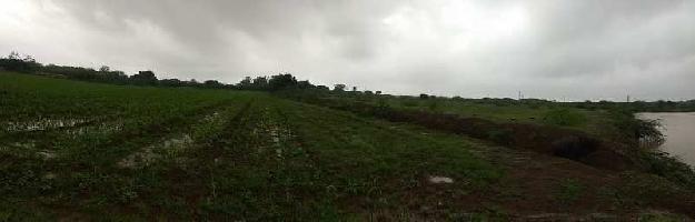  Agricultural Land for Sale in Khambhalia, Dwarka
