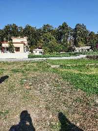  Residential Plot for Sale in Hiranagar, Hamirpur