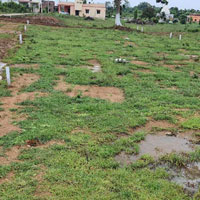  Residential Plot for Sale in Bhuda Colony, Dhanbad