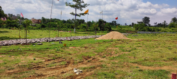  Residential Plot for Sale in Basaria, Dhanbad