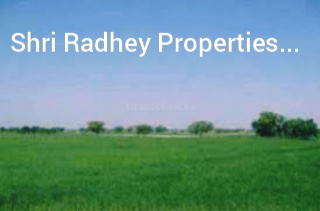  Agricultural Land for Sale in GT Karnal Road, Panipat
