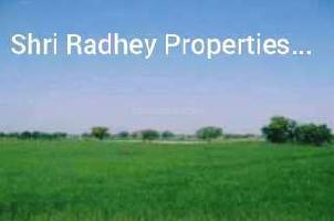  Industrial Land for Sale in Nathupur, Sonipat