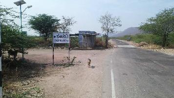  Agricultural Land for Sale in bijoliya road, Bundi, Bundi