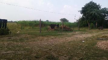  Agricultural Land for Sale in Indragarh, Bundi