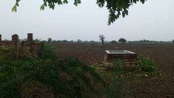  Agricultural Land for Sale in Dadwara, Kota