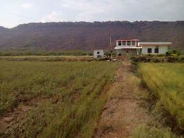  Agricultural Land for Sale in Keshoraipatan, Bundi