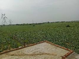  Agricultural Land for Sale in Keshoraipatan, Bundi