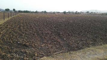  Agricultural Land for Sale in Kherli, Alwar