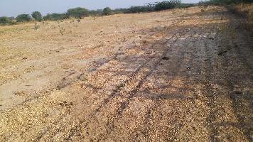  Agricultural Land for Sale in Todaraisingh, Tonk