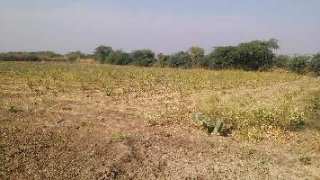  Agricultural Land for Sale in Malarna Doongar, Sawai Madhopur