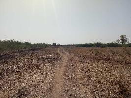  Agricultural Land for Sale in Ranthambhore National Park, Sawai Madhopur