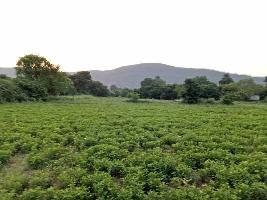  Agricultural Land for Sale in Devpura, Bundi