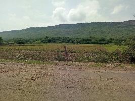  Agricultural Land for Sale in Sangod, Kota