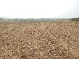  Agricultural Land for Sale in Kishanganj, Baran