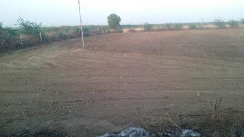  Agricultural Land for Sale in Ramganj Mandi, Kota