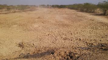  Agricultural Land for Sale in Jhalrapatan, Jhalawar