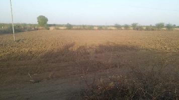  Agricultural Land for Sale in Aklera, Jhalawar