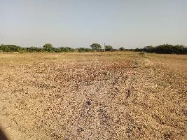  Agricultural Land for Sale in Bakani, Jhalawar