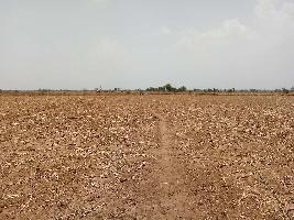  Agricultural Land for Sale in Nasirabad, Ajmer
