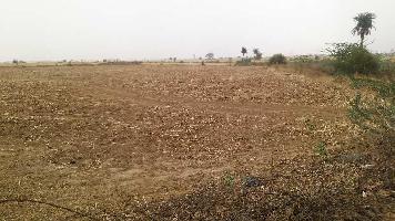  Agricultural Land for Sale in Kotra, Ajmer