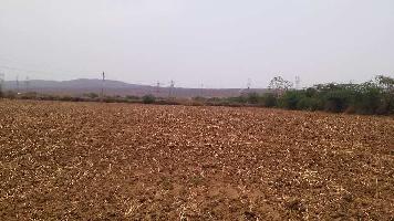  Agricultural Land for Sale in Lalsot, Dausa