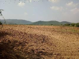  Agricultural Land for Sale in Kotra, Ajmer