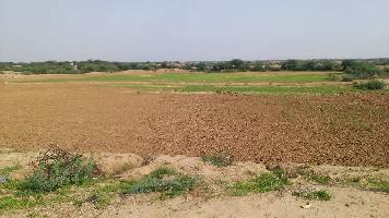  Agricultural Land for Sale in Azad Nagar, Bhilwara