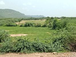  Agricultural Land for Sale in Shastri Nagar, Bhilwara