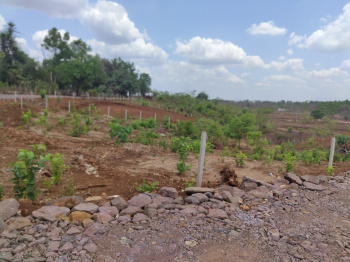  Agricultural Land for Sale in Shahapur, Thane