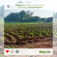  Agricultural Land for Sale in Murbad, Thane