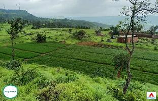  Agricultural Land for Sale in Patan, Satara