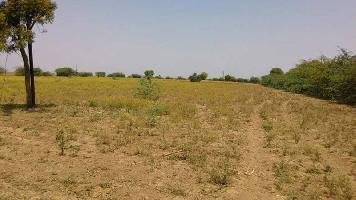  Agricultural Land for Sale in Kopargaon, Ahmednagar