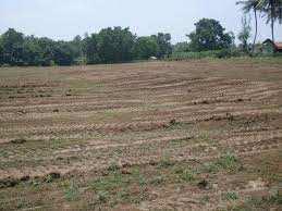  Residential Plot for Sale in Sion, Mumbai
