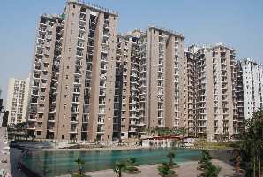 3 BHK Flat for Rent in Sector 120 Noida