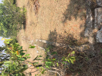  Residential Plot for Sale in Achutapuram, Visakhapatnam