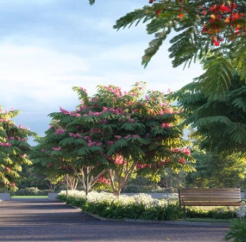  7 Acre Residential Plot for Sale in Pudupakkam Village, Chennai