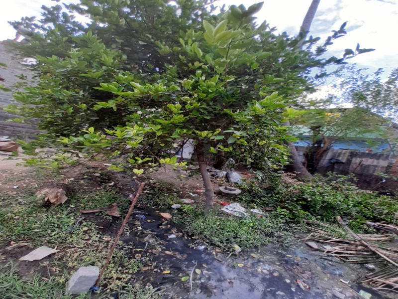  1800 Sq.ft. Residential Plot for Sale in Kattupakkam, Chennai