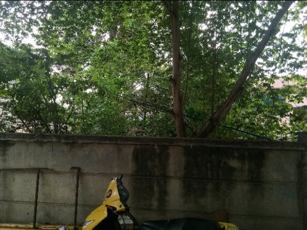  1202 Sq.ft. Residential Plot for Sale in Kattupakkam, Chennai