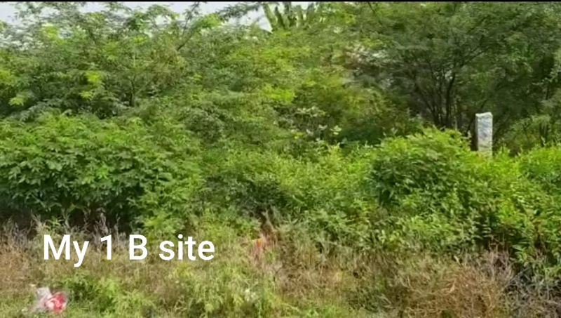  2590 Sq.ft. Residential Plot for Sale in Kundrathur, Chennai