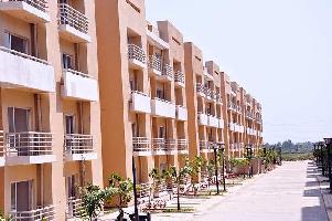 3 BHK Flat for Sale in Sector 77 Faridabad