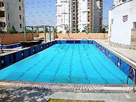 3 BHK Flat for Rent in Sector 86 Faridabad
