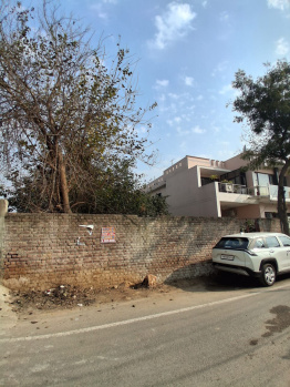  Residential Plot for Sale in Ranjit Enclave, Jalandhar