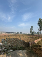  Residential Plot for Sale in Prakash Nagar, Jalandhar