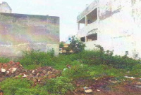  Residential Plot for Sale in Friends Colony, Jalandhar