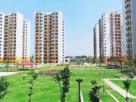 2 BHK Flat for Sale in Dharuhera, Rewari
